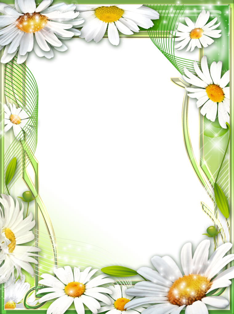 Рамка из ромашек