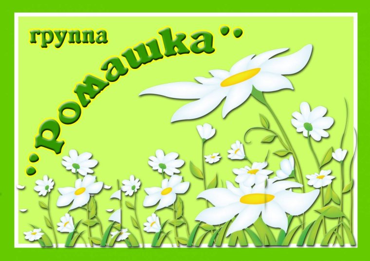 Девиз группы Ромашка в детском саду
