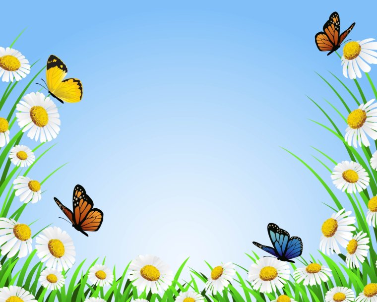 Ромка Ромашка