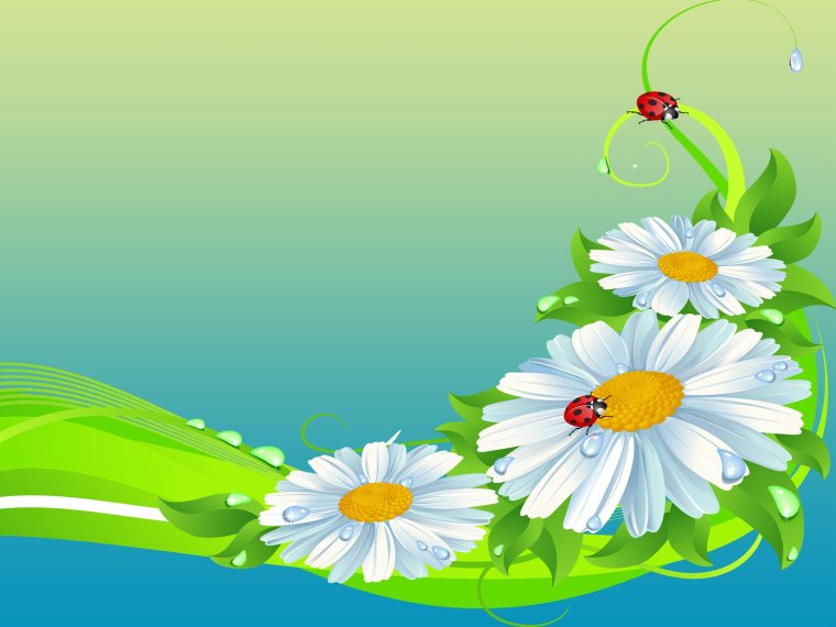 Группа Ромашка