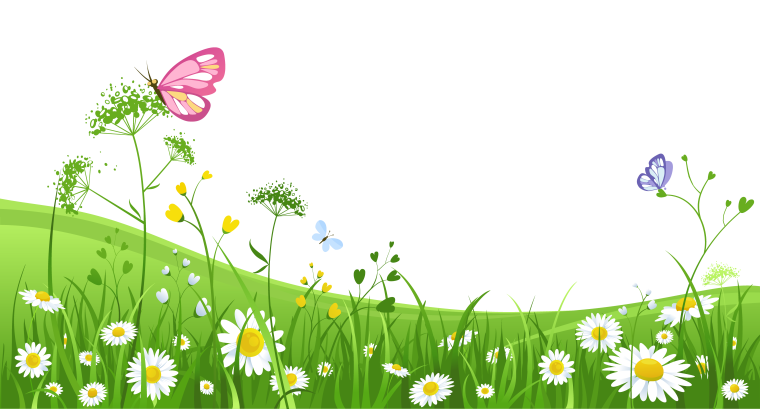 Группа Ромашка в детском саду