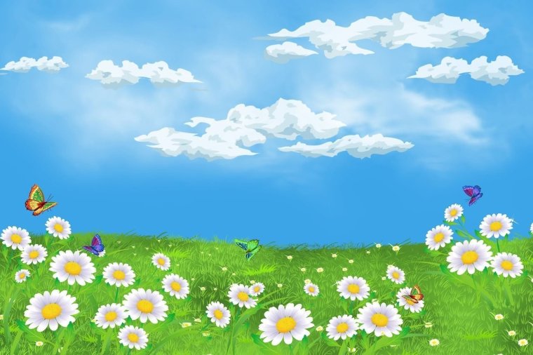 Фон для презентации лето