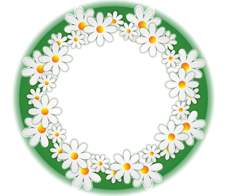 Рамочка с ромашками