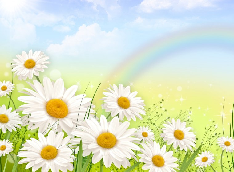 Группа Ромашка в детском саду оформление