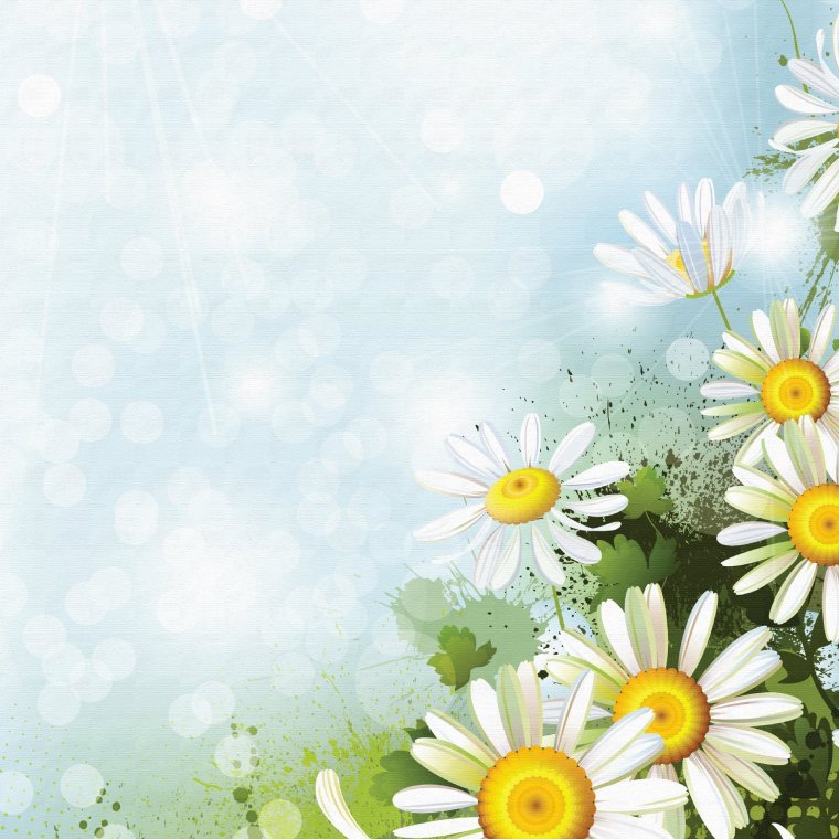 Фон ромашки
