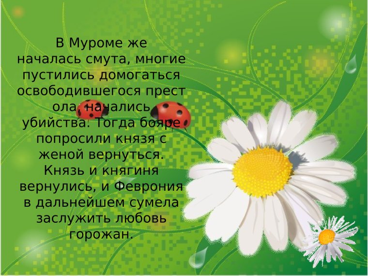 Фон ромашки