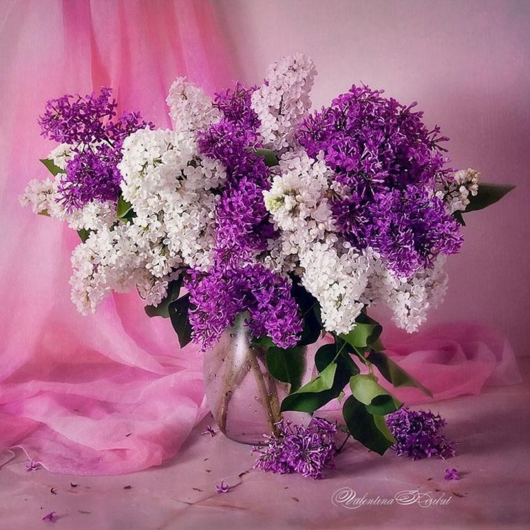 Сергей Корибут