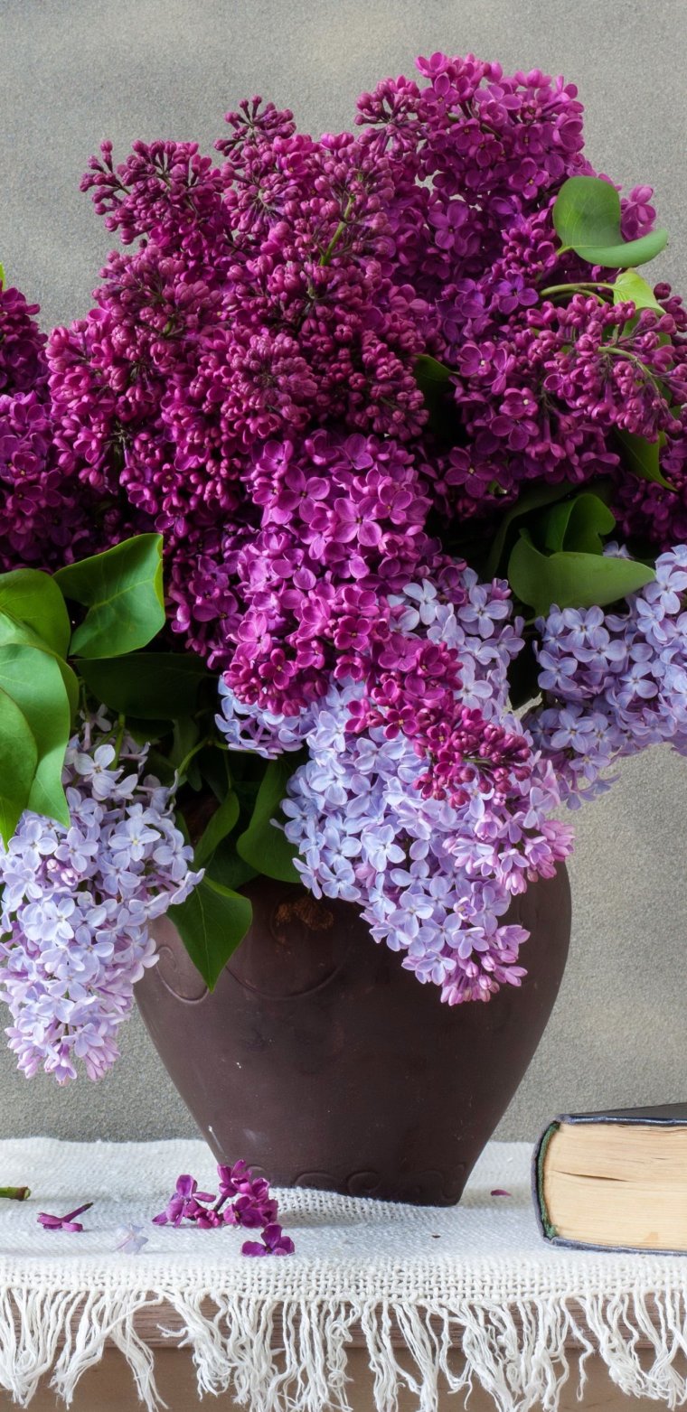 Красивый букет сирени