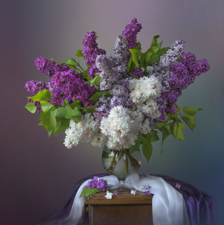 Людмила Костюченко Фотонатюрморты