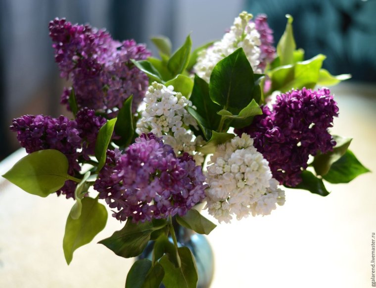 Букет сирени