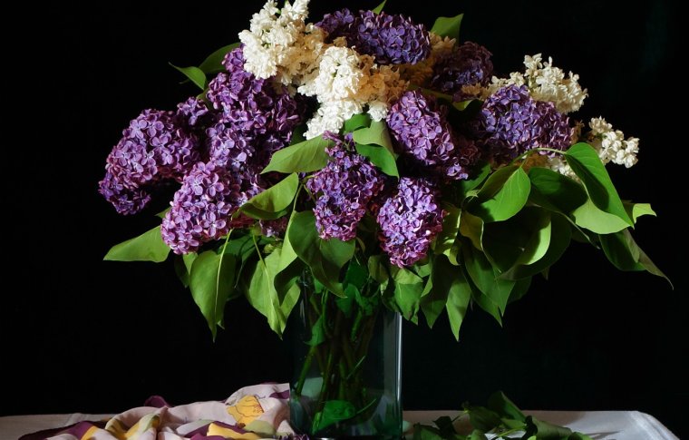 Цветы сирень букет