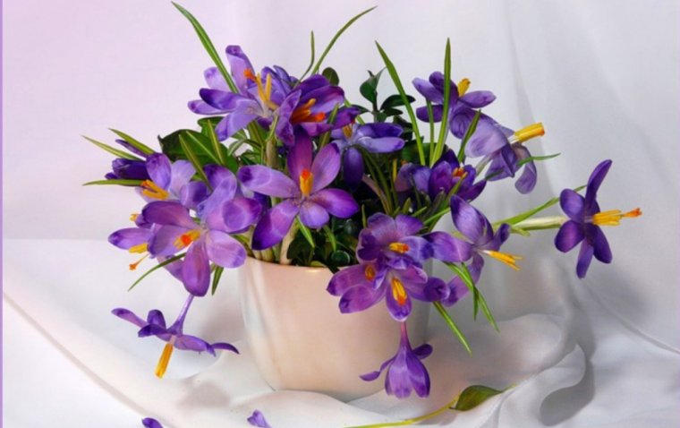 Крокусы в вазе