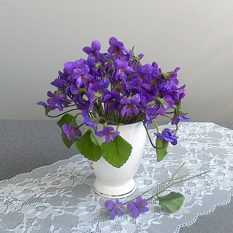 Фиалка Букетная