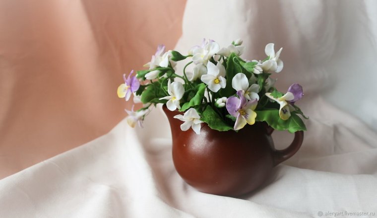 Фиалка Жемчужная фрезия