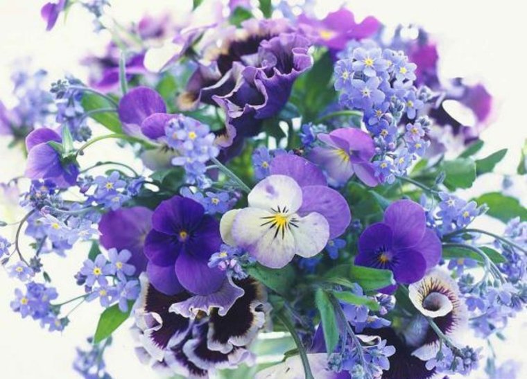 Анютины глазки и незабудки в букетах