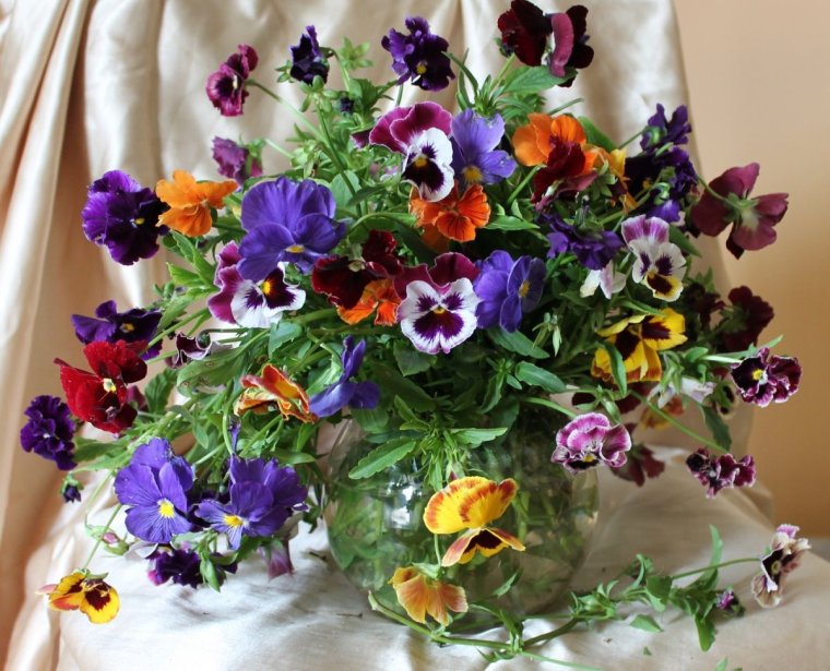 Букет анютиных глазок