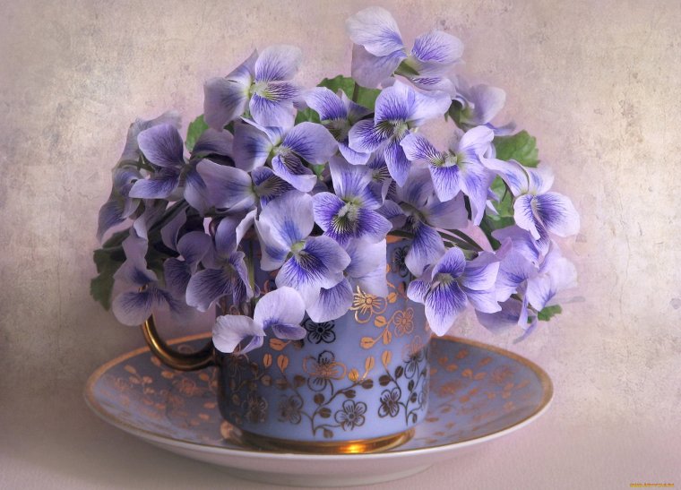 Пармские фиалки букет