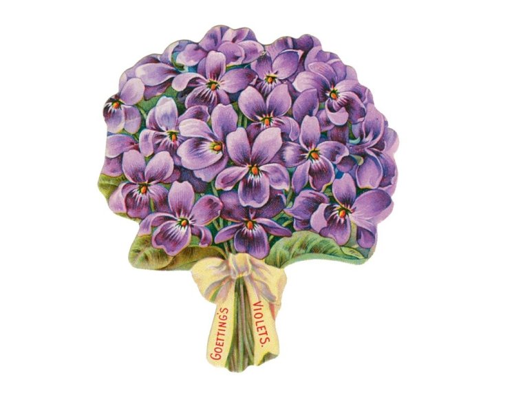 Красивые букеты из фиалок