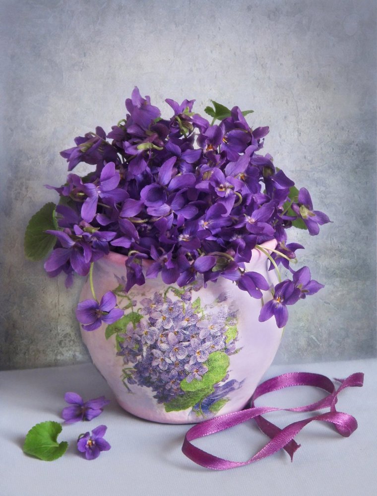 Шикарный букет фиалок