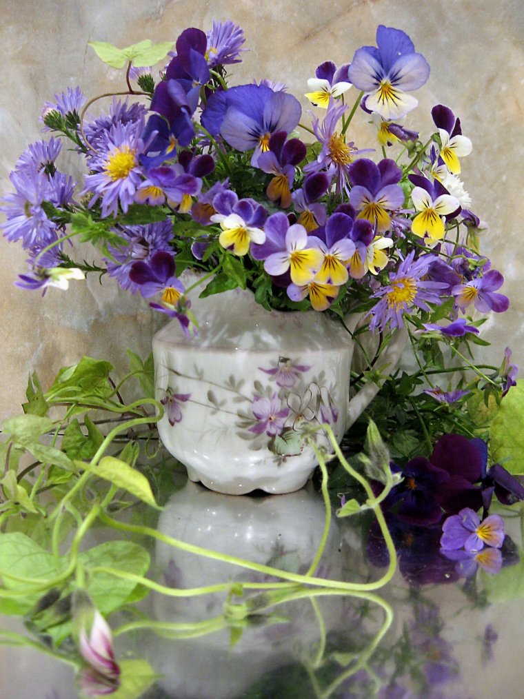 Анютины глазки композиция