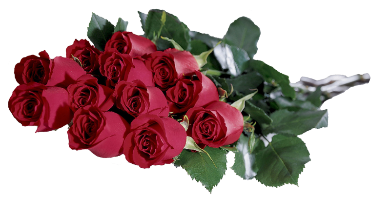 Букет цветов без фона