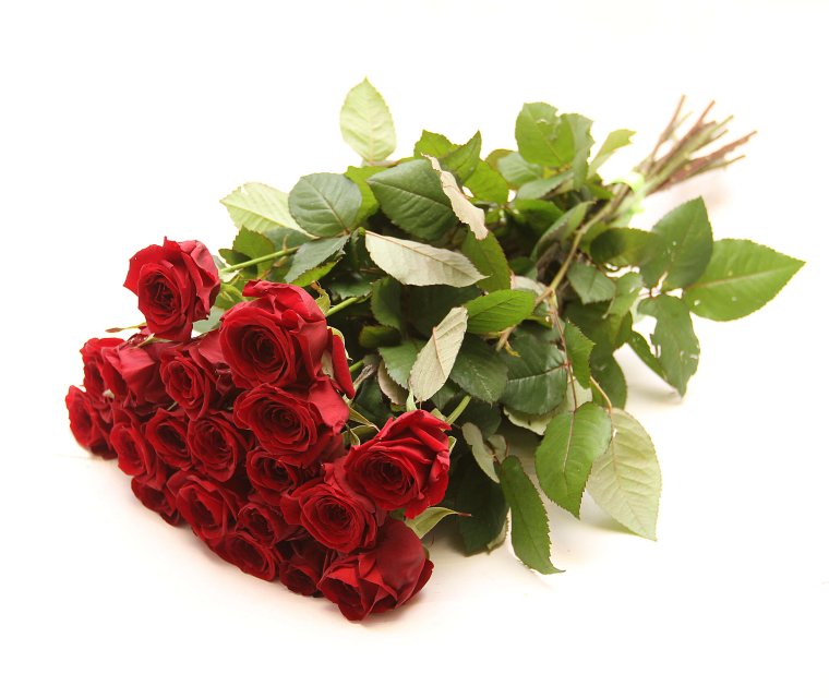 Цветы лежат