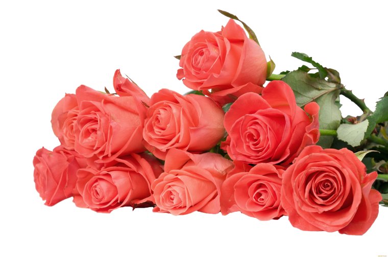 Букет лежит