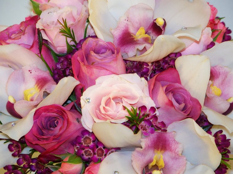 Роскошный букет орхидей