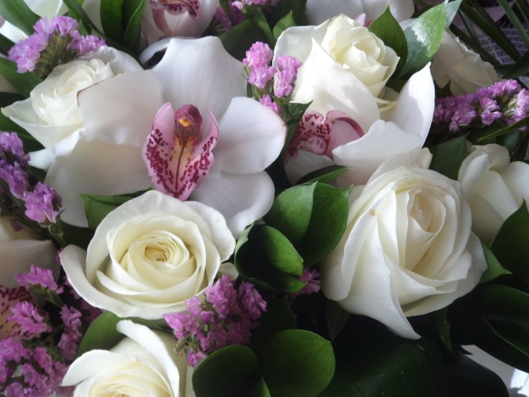 Шикарные цветы