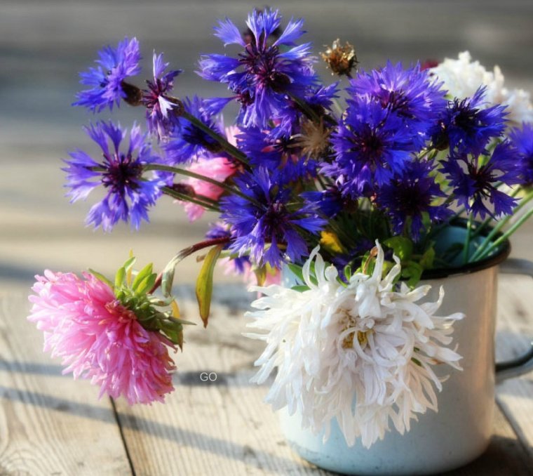 Астры, васильки букет