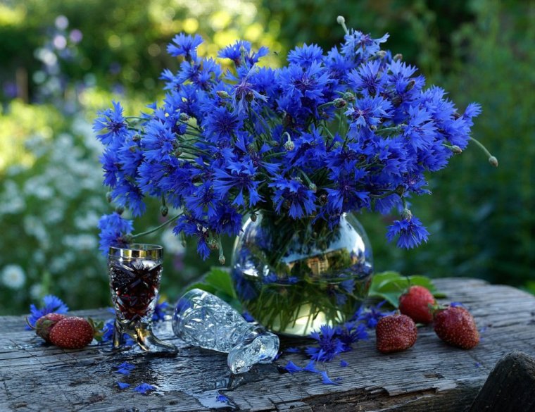 Букет из Васильков