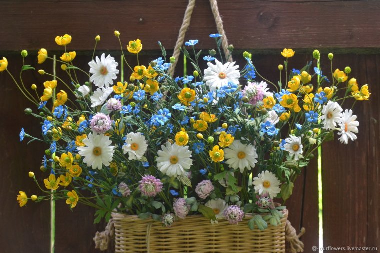 Цветы ромашки и васильки