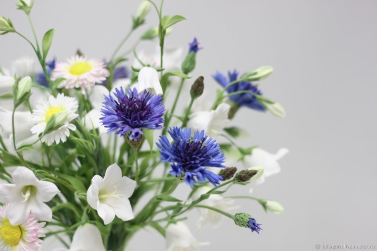 Васильки букет