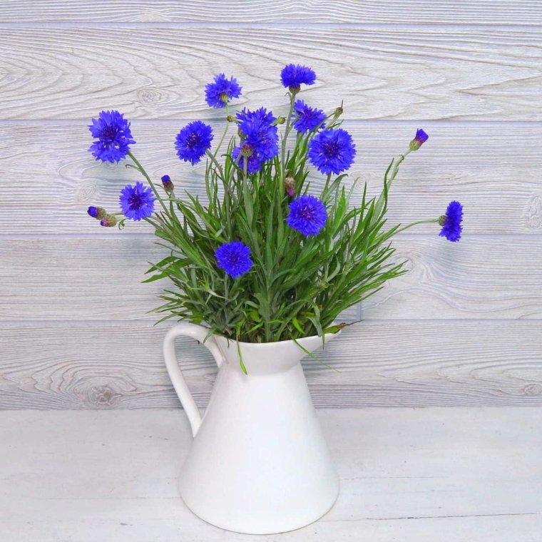 Цветочные композиции с васильками