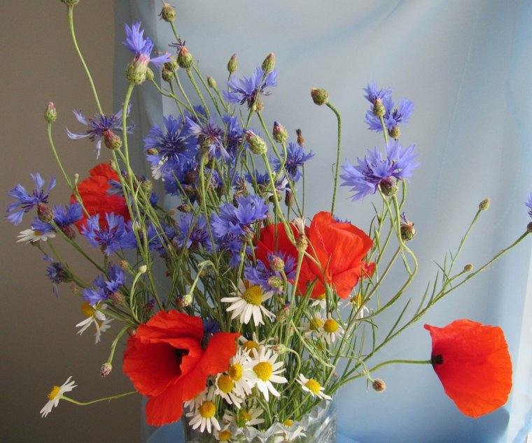 Букет с васильками