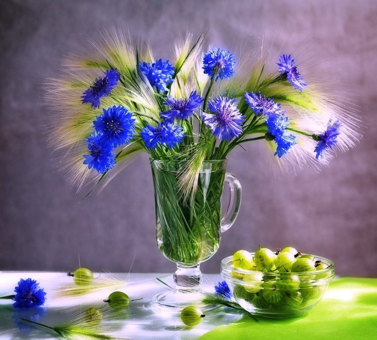 Полевые цветы и ягоды