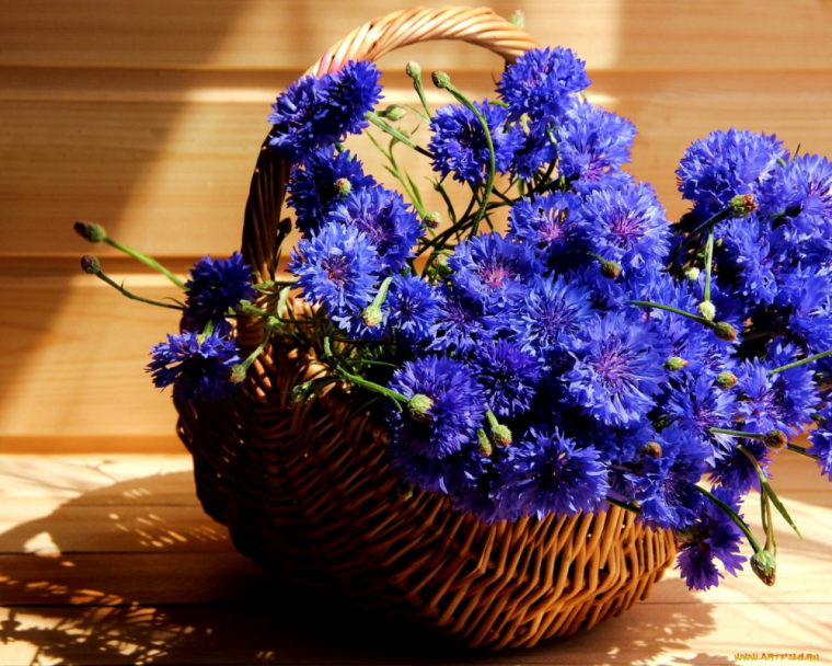 Букеты с маками и полевыми цветами