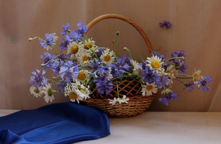 Корзина с васильками