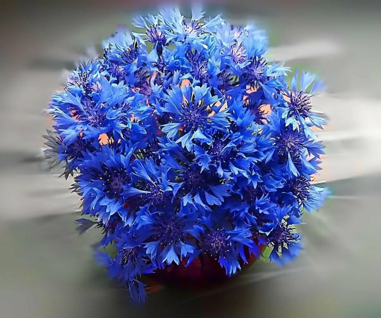 Букет с васильками