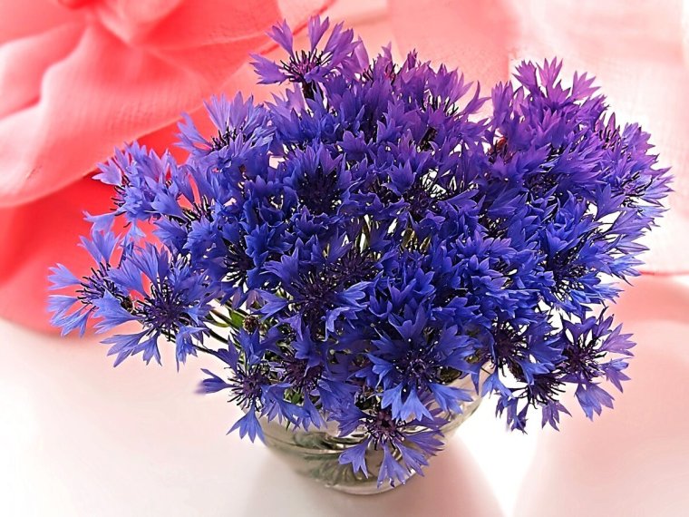 Композиция из ромашек и Васильков