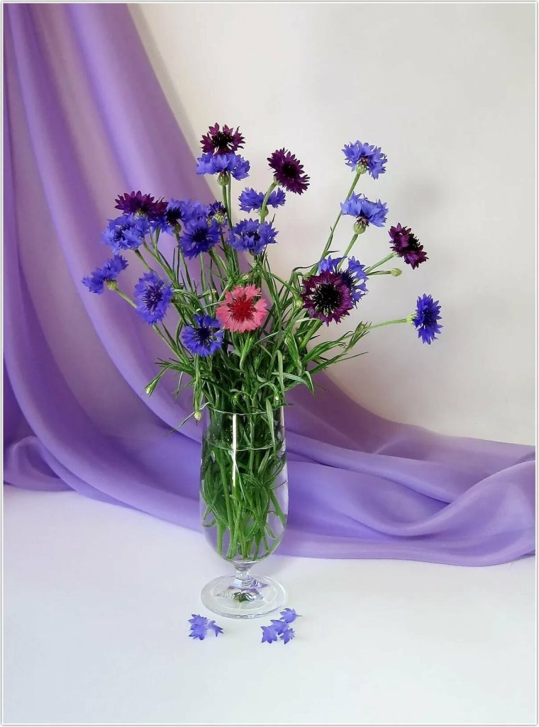 Букет с васильками