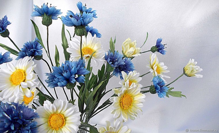 Красивый букет Васильков