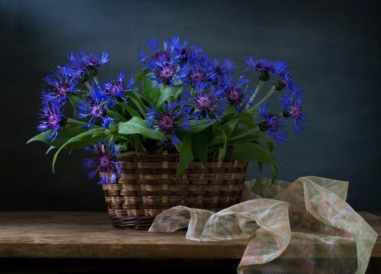 Корзинка с васильками