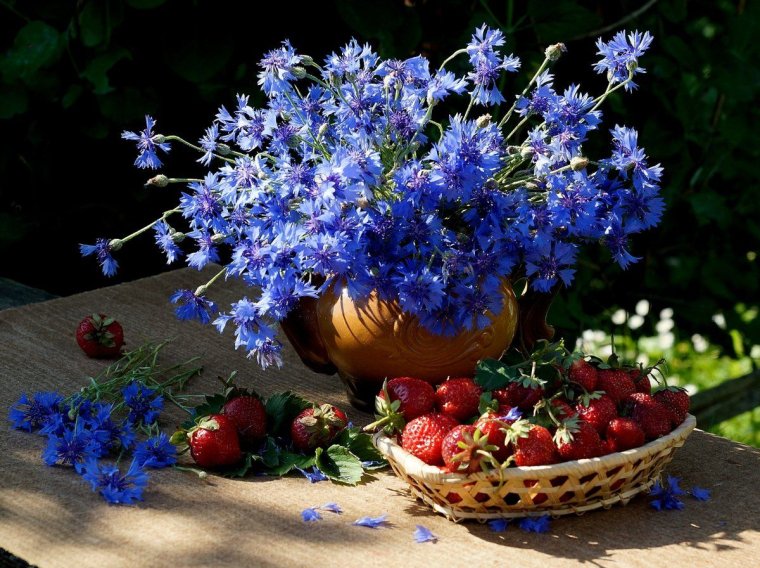 Васильки букет