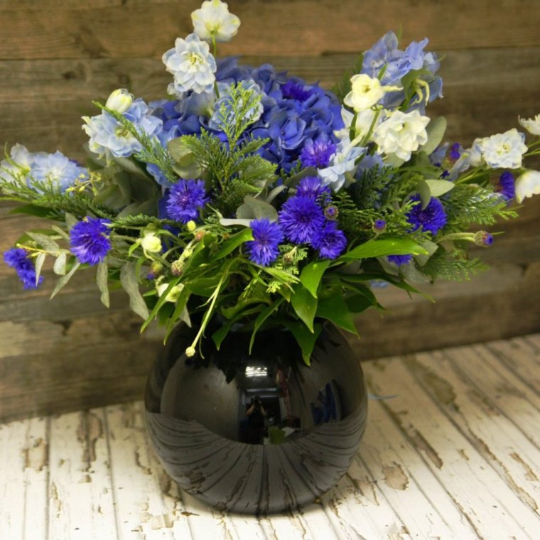 Васильки фото