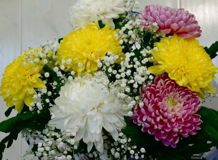 Букет хризантем для самой красивой девушки