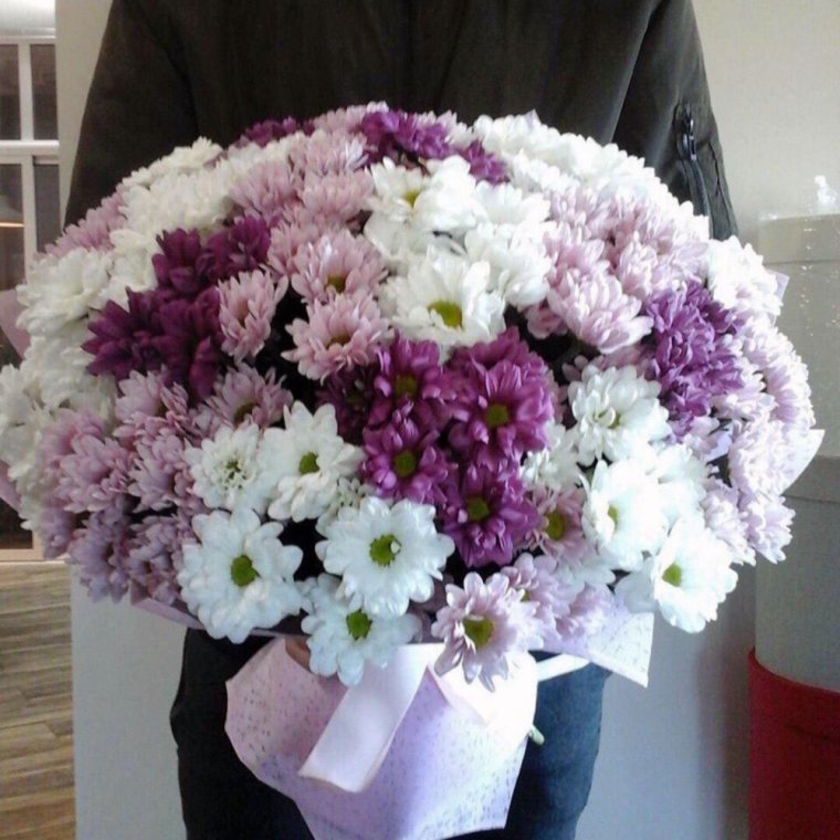 21 Хризантема кустовая