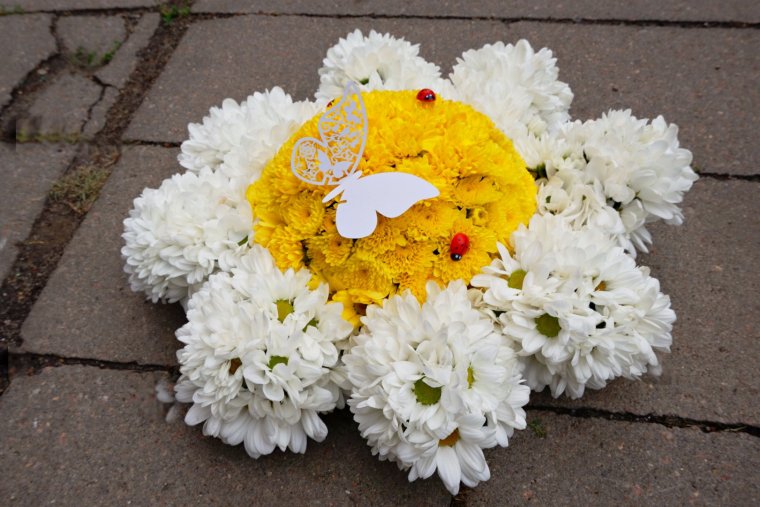 Необычные букеты из ромашек