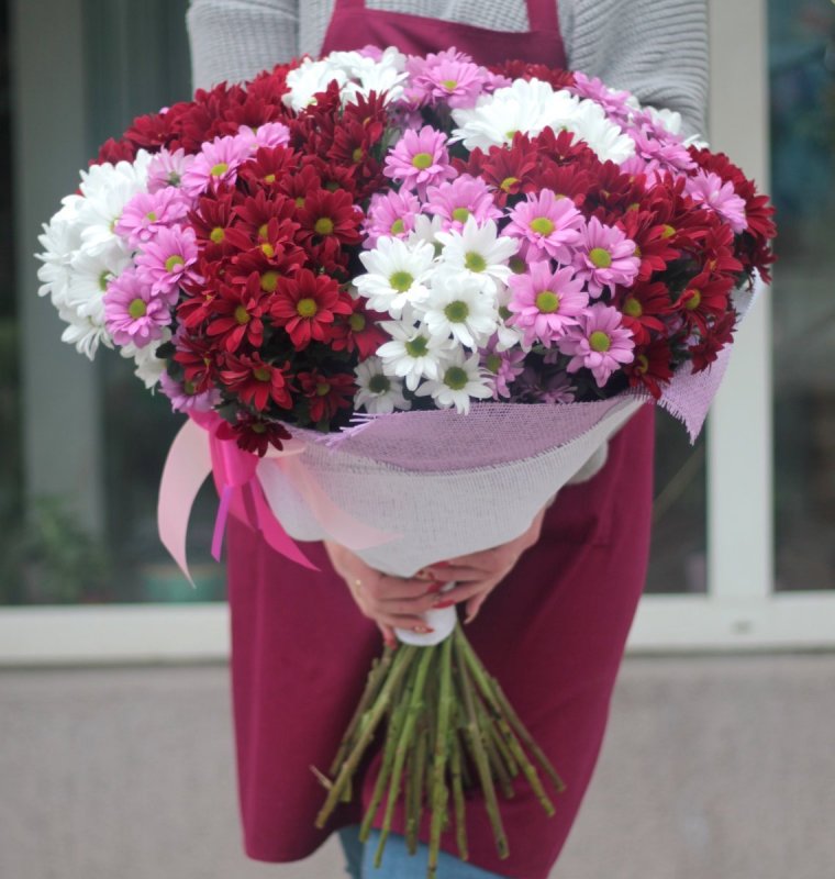 Букет из 25 кустовых хризантем микс