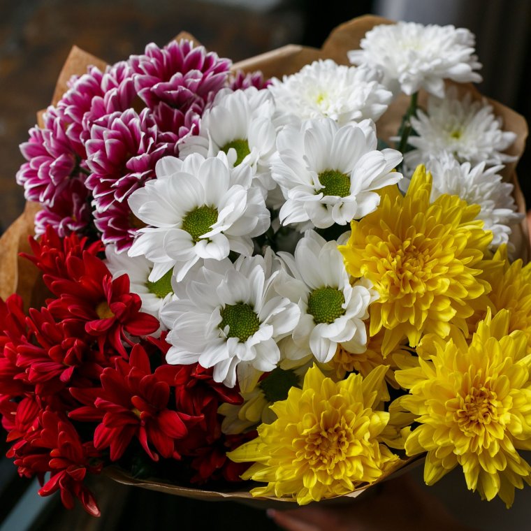 Хризантема Букетная